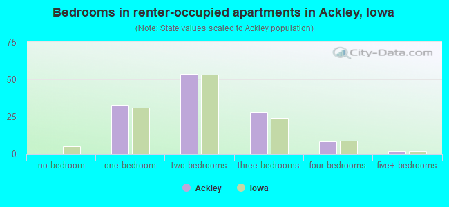 Bedrooms in renter-occupied apartments in Ackley, Iowa