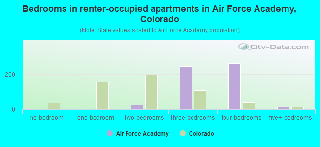 Bedrooms in renter-occupied apartments in Air Force Academy, Colorado