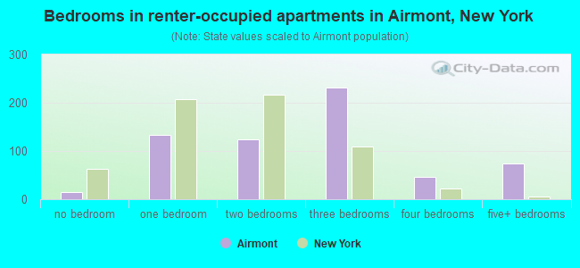 Bedrooms in renter-occupied apartments in Airmont, New York
