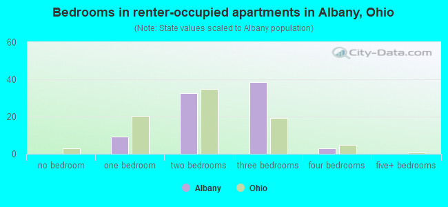 Bedrooms in renter-occupied apartments in Albany, Ohio
