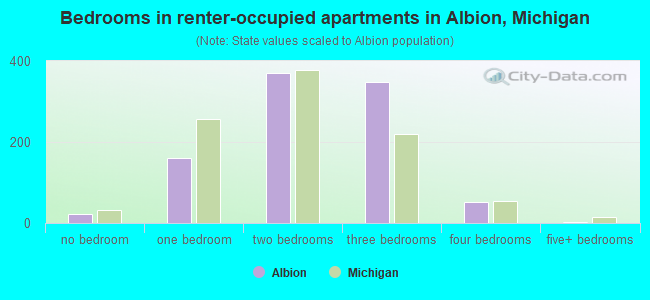 Bedrooms in renter-occupied apartments in Albion, Michigan