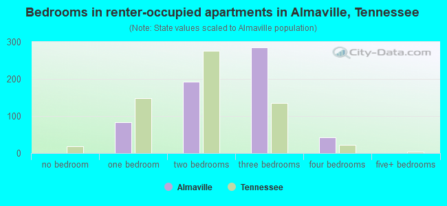 Bedrooms in renter-occupied apartments in Almaville, Tennessee