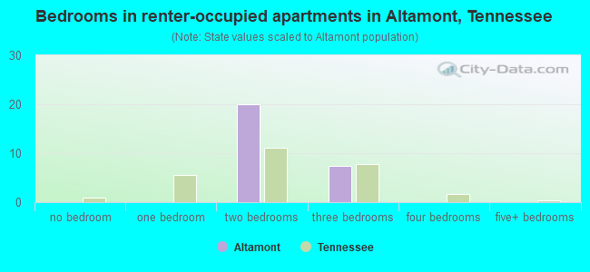Bedrooms in renter-occupied apartments in Altamont, Tennessee