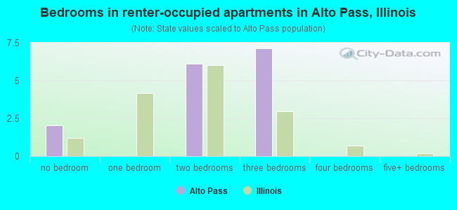 Bedrooms in renter-occupied apartments in Alto Pass, Illinois