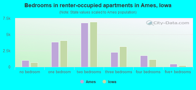 Bedrooms in renter-occupied apartments in Ames, Iowa