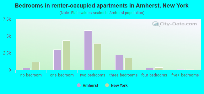 Bedrooms in renter-occupied apartments in Amherst, New York
