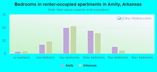 Bedrooms in renter-occupied apartments in Amity, Arkansas
