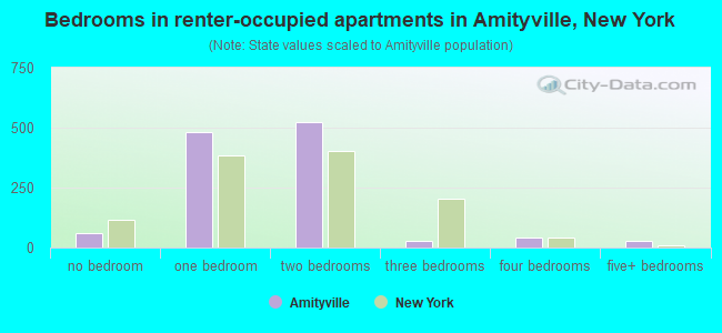 Bedrooms in renter-occupied apartments in Amityville, New York