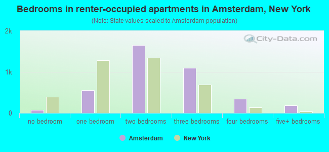 Bedrooms in renter-occupied apartments in Amsterdam, New York