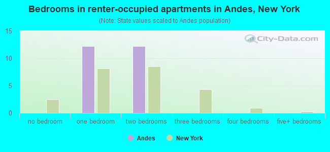 Bedrooms in renter-occupied apartments in Andes, New York