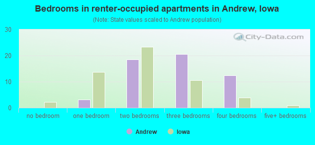Bedrooms in renter-occupied apartments in Andrew, Iowa