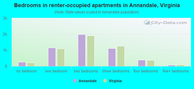 Bedrooms in renter-occupied apartments in Annandale, Virginia
