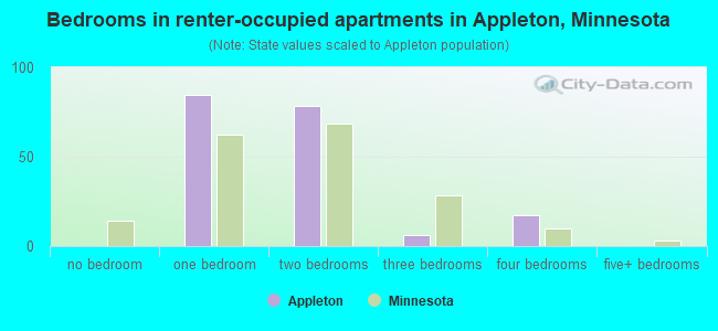 Bedrooms in renter-occupied apartments in Appleton, Minnesota