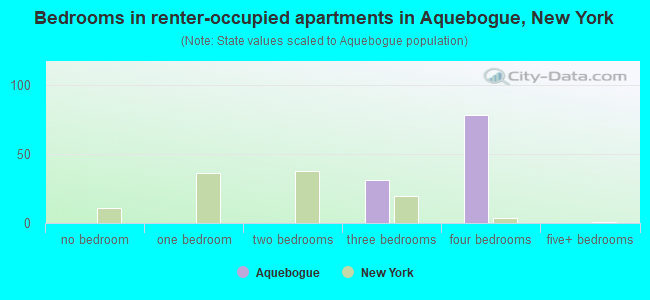Bedrooms in renter-occupied apartments in Aquebogue, New York