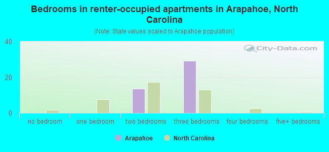 Bedrooms in renter-occupied apartments in Arapahoe, North Carolina