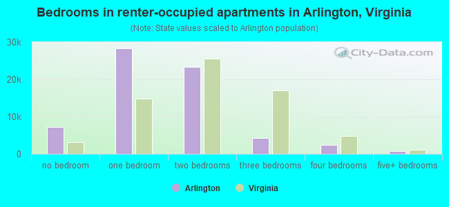 Bedrooms in renter-occupied apartments in Arlington, Virginia