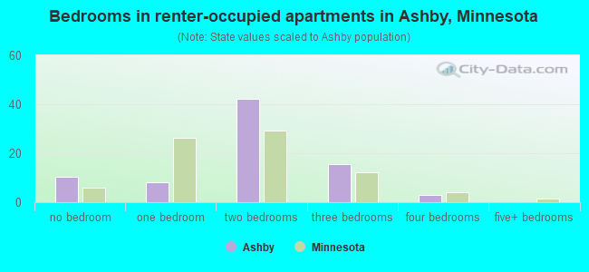 Bedrooms in renter-occupied apartments in Ashby, Minnesota