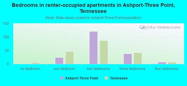 Bedrooms in renter-occupied apartments in Ashport-Three Point, Tennessee