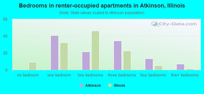 Bedrooms in renter-occupied apartments in Atkinson, Illinois
