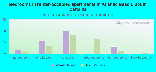 Bedrooms in renter-occupied apartments in Atlantic Beach, South Carolina