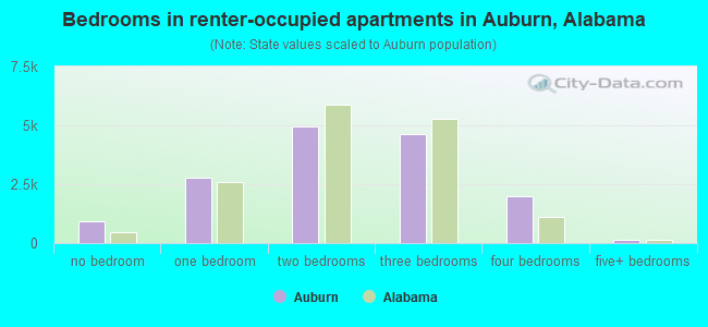 Bedrooms in renter-occupied apartments in Auburn, Alabama