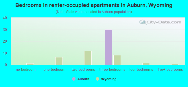 Bedrooms in renter-occupied apartments in Auburn, Wyoming