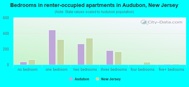 Bedrooms in renter-occupied apartments in Audubon, New Jersey