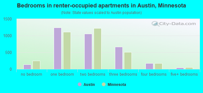 Bedrooms in renter-occupied apartments in Austin, Minnesota