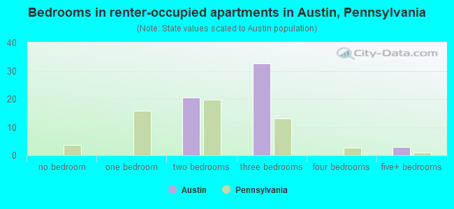 Bedrooms in renter-occupied apartments in Austin, Pennsylvania