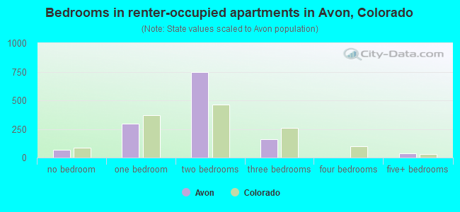 Bedrooms in renter-occupied apartments in Avon, Colorado