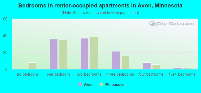 Bedrooms in renter-occupied apartments in Avon, Minnesota