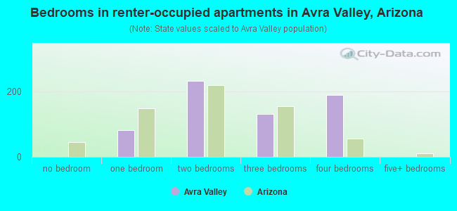Bedrooms in renter-occupied apartments in Avra Valley, Arizona