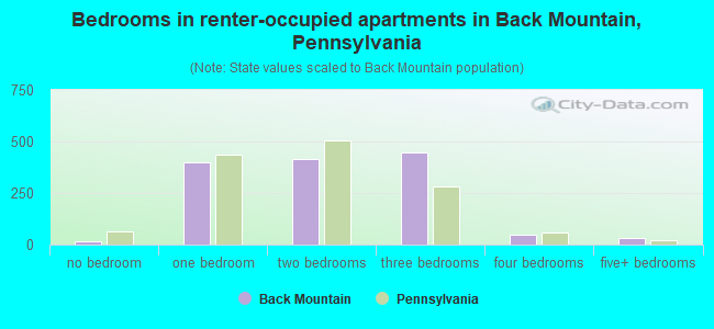 Bedrooms in renter-occupied apartments in Back Mountain, Pennsylvania