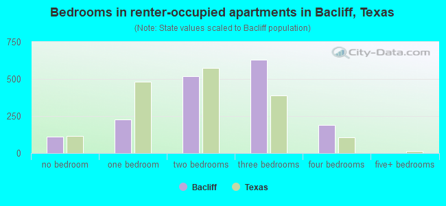 Bedrooms in renter-occupied apartments in Bacliff, Texas