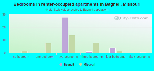 Bedrooms in renter-occupied apartments in Bagnell, Missouri