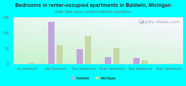 Bedrooms in renter-occupied apartments in Baldwin, Michigan
