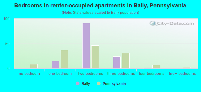 Bedrooms in renter-occupied apartments in Bally, Pennsylvania