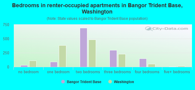 Bedrooms in renter-occupied apartments in Bangor Trident Base, Washington