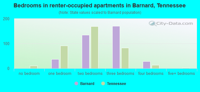 Bedrooms in renter-occupied apartments in Barnard, Tennessee