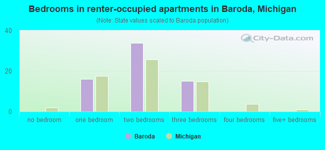 Bedrooms in renter-occupied apartments in Baroda, Michigan