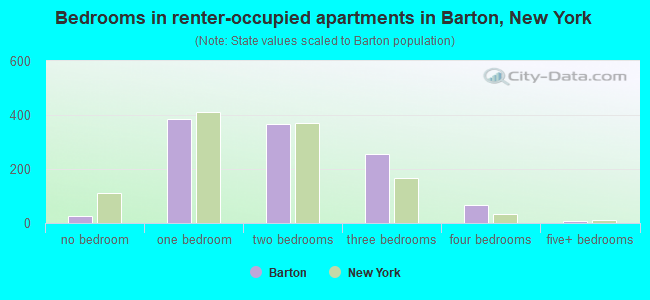 Bedrooms in renter-occupied apartments in Barton, New York