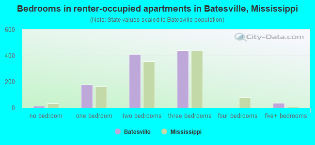 Bedrooms in renter-occupied apartments in Batesville, Mississippi