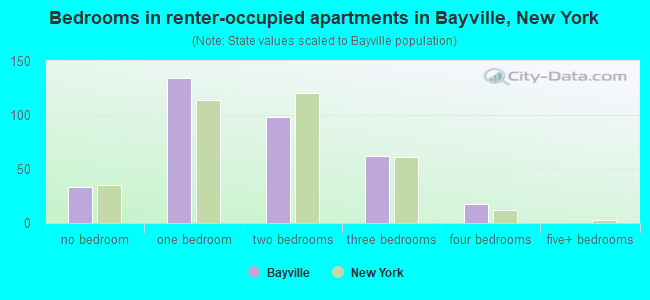 Bedrooms in renter-occupied apartments in Bayville, New York
