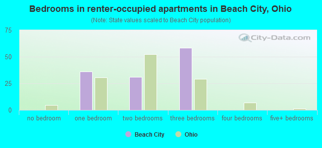 Bedrooms in renter-occupied apartments in Beach City, Ohio