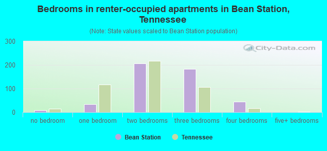 Bedrooms in renter-occupied apartments in Bean Station, Tennessee