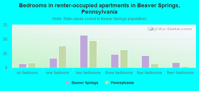 Bedrooms in renter-occupied apartments in Beaver Springs, Pennsylvania