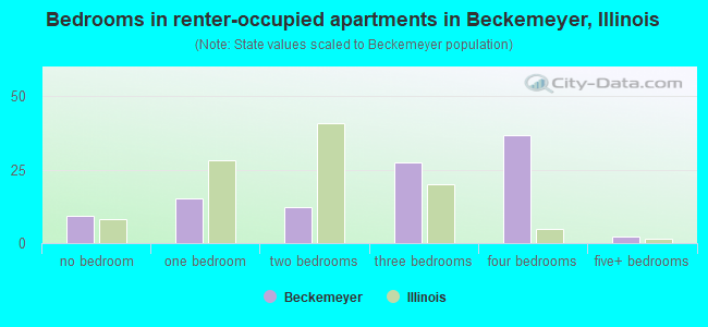 Bedrooms in renter-occupied apartments in Beckemeyer, Illinois