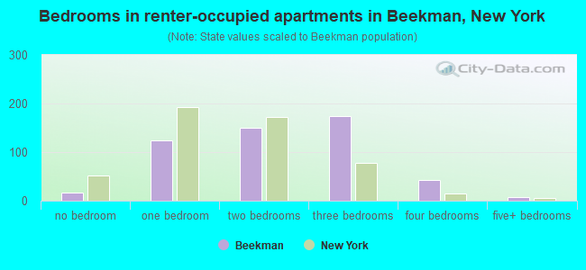 Bedrooms in renter-occupied apartments in Beekman, New York