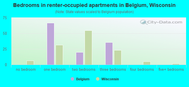 Bedrooms in renter-occupied apartments in Belgium, Wisconsin