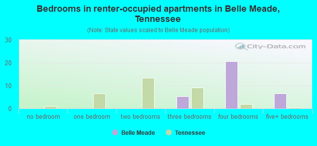 Bedrooms in renter-occupied apartments in Belle Meade, Tennessee
